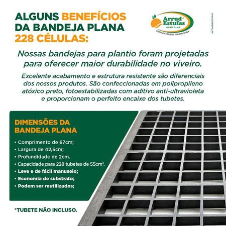 Imagem de Bandeja Plana 228 Células Plantio de Mudas - 20 Unidades