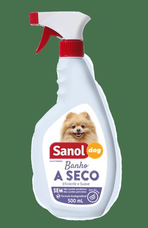 Nomes para gatos - Sanol Dog