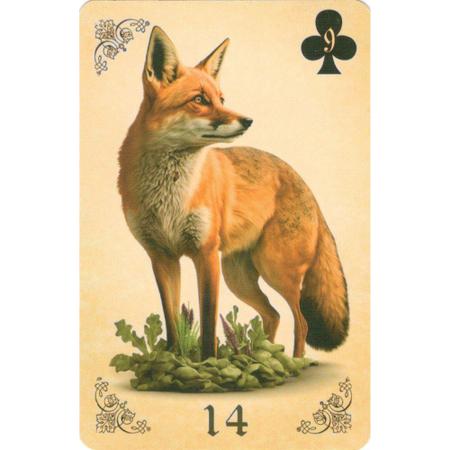 Baralho Cigano Lenormand Clássico – Nova Edição