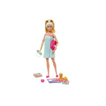 Imagem de Barbie Fashionista Dia de SPA com Filhotinho Mattel GKH73/GJG55