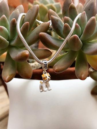 Pandora charm shop jack russell dog