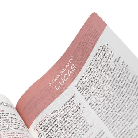 Bíblia de Estudo Kids - o Mundo de Otávio: Nova Tradução na Linguagem de  Hoje (Ntlh) - Livros de Religião - Magazine Luiza