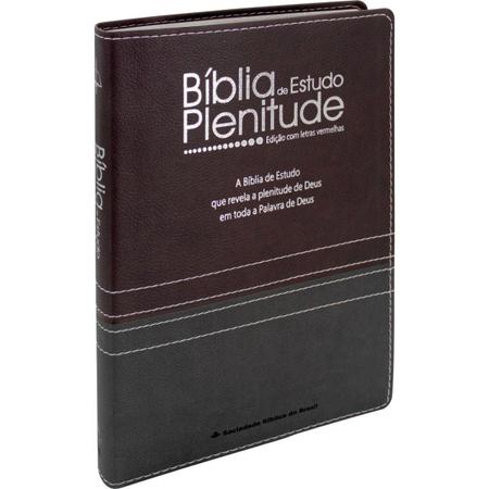 Imagem de Bíblia de Estudo Plenitude RC, Bordô e Chumbo
