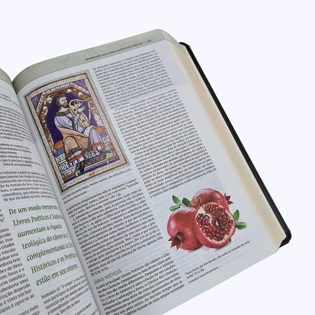 Santa Bíblia Di Nelson Ilustrações Mapas Coloridos Completa