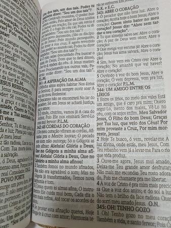 Imagem de Biblia L. gigante c. harpa Pedraria prata