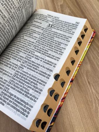 Imagem de Biblia Leão reflexo Letras Grandes Evangélica Com Harpa E Corinhos Indice digital