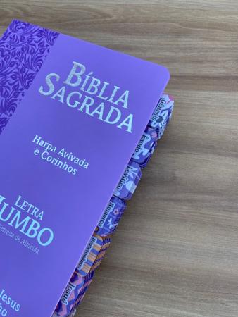 Bíblia Sagrada Luxo Lt Jumbo, A Maior Letra Do Mercado, Com Harpa - Bíblia  - Magazine Luiza