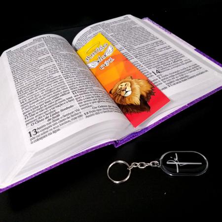 Imagem de Biblia mulher feminina letra gigante laminada lilas sc kt