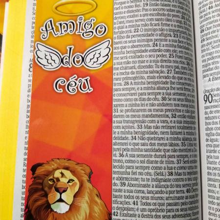 Imagem de Bíblia sagrada adolescente evangelica novo leão yeshua ktp