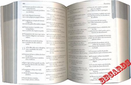 Bíblia Sagrada Católica Grande Prateada - Edição Luxo - Bíblia - Magazine  Luiza