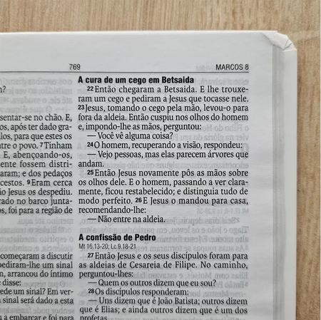 Imagem de Bíblia Sagrada Floresça  NAA  Letra Normal  Capa Dura