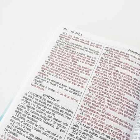 Biblia Sagrada Leao Consumado ACF Letra Maior Capa Dura - Bíblia