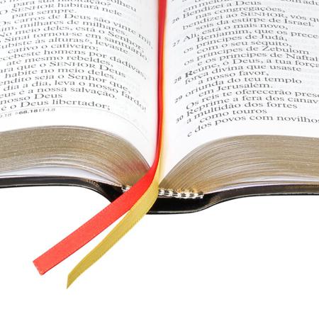 Bíblia Sagrada - Letra Extra Gigante. Capa Preta