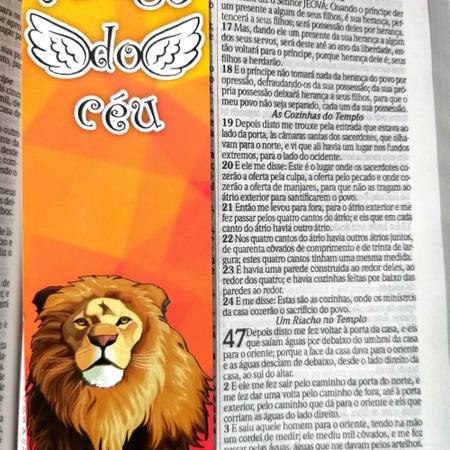 Imagem de Bíblia sagrada masculino feminino moderna harpa leão pb kt