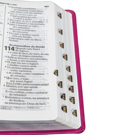 Imagem de Bíblia Sagrada RA Pequena com Letra Grande - SBB