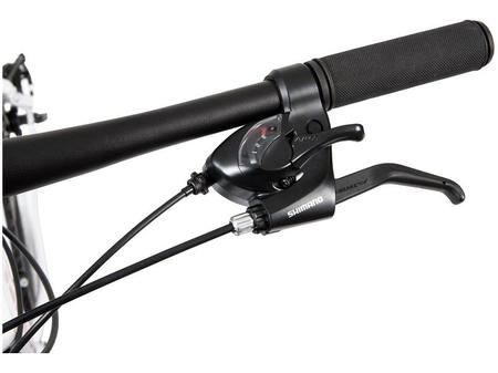 Schwinn eagle online a20
