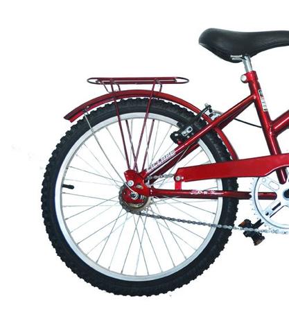 Bicicleta dolphin rodado online 20