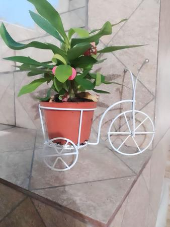 Imagem de Bicicleta Jardim Suporte Para Vaso De Flor Planta Decoração