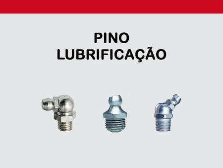 Imagem de Bico Graxeiro Reto 1/8 -28 Bsp - Aço - Pacote C/ 10 Pç