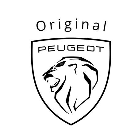 Imagem de Bieleta Haste Trambulador Peugeot 206  207 Orig. 16CM 2454g5