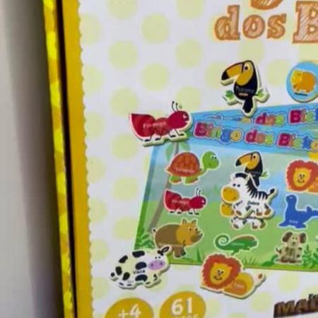 Jogo Educativo Bingo Dos Bichos + 4 Anos 61 Pecas Em Madeira na Americanas  Empresas