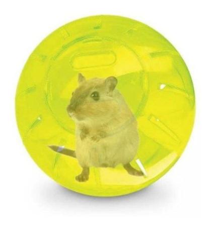 Imagem de Bola Brinquedo Globo Hamster Roedores Colors