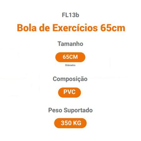 Imagem de Bola de Exercícios Yoga Pilates 65cm Suporta 350kg Hidrolight