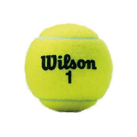 Bola de tênis wilson hotsell championship caixa com 24 tubos