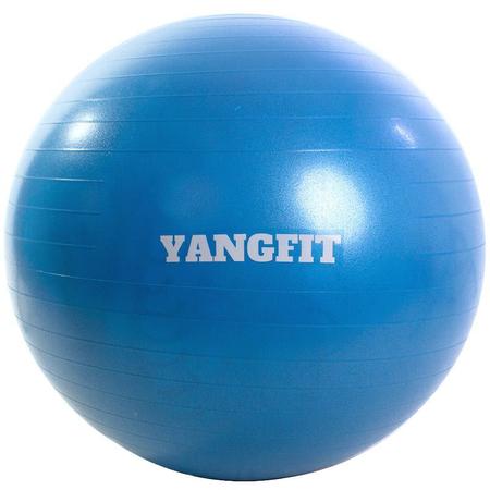 Imagem de Bola Pilates Suíça Exercícios Yoga 65cm Com Bomba Yangfit 