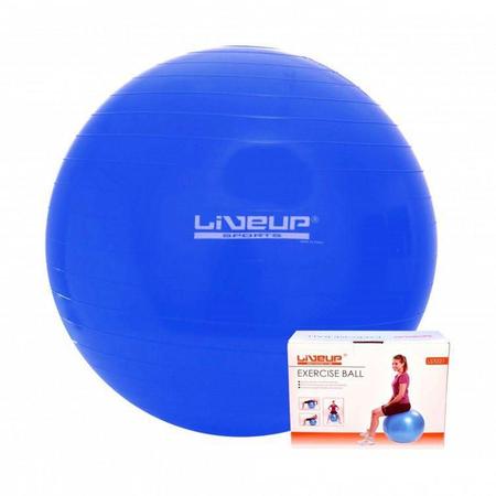 Imagem de Bola Suíça para Pilates com Bomba de Inflar Live Up - 65cm