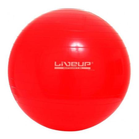 Imagem de Bola Suíça Para Pilates Exercise Ball 45 Cm  - Live Up