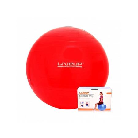 Imagem de Bola Suiça Pilates Yoga Abdominal Gym Ball 45cm Liveup