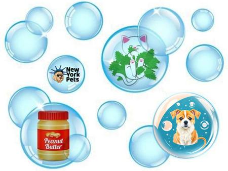 Imagem de Bolhas Comestíveis Incredibubbles Doggy Cães E Gatos 20ml