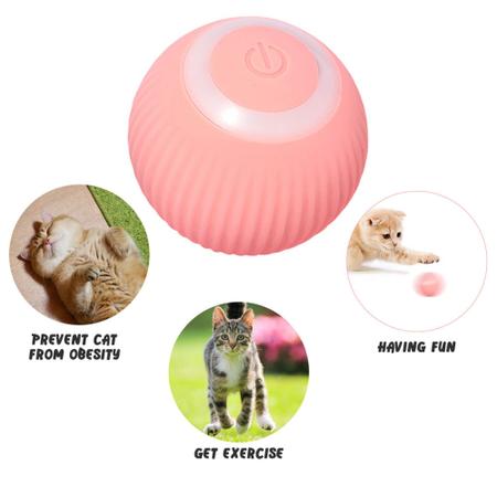 Brinquedo Para Gatos Caça Bolinha Petneon Jogo Para Gatos