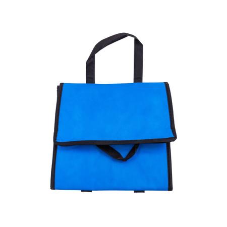 Imagem de Bolsa Mala Térmica 18L Cooler Com Alças Praia Camping Churrasco Azul