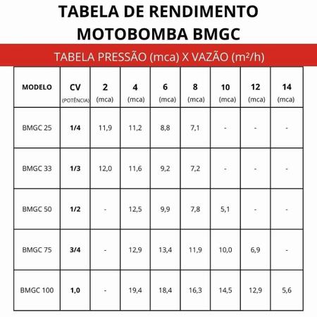 Imagem de Bomba Bmgc - 75 Mono 60Hz