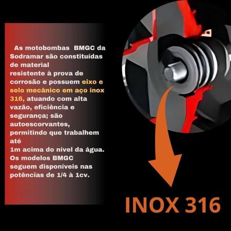 Imagem de Bomba Bmgc - 75 Mono 60Hz