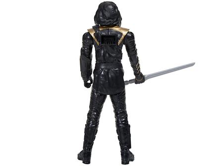 Ronin 2024 titan hero
