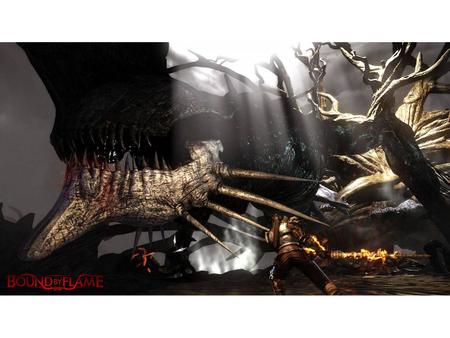 Imagem de Bound by Flame para PS3