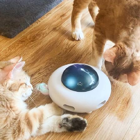 Jogos em tablet para gatos divertem pets e donos