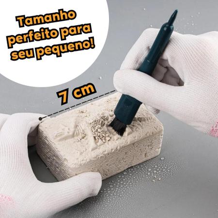 Kit Arqueologia Dinossauro Velociraptor - Autobrinca Online