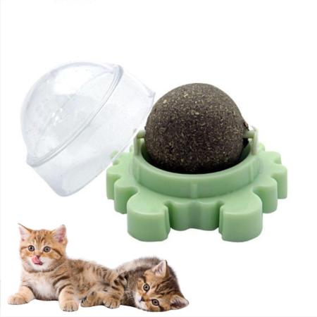 Ipetboom 12 Pçs Gato De Estimação Bola De Cristal Brinquedo Gato Catnip  Brinquedos Gato Exercício Brinquedo Gato Bolas Brinquedos Gato Brinquedo  Jogo