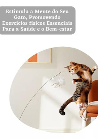 Brinquedo Interativo Gato Varinha Pena Ventosa Fixa Chão Pet - GatoAoCubo Imagem de Brinquedo Interativo Gato Varinha Pena Ventosa Fixa Chão Pet