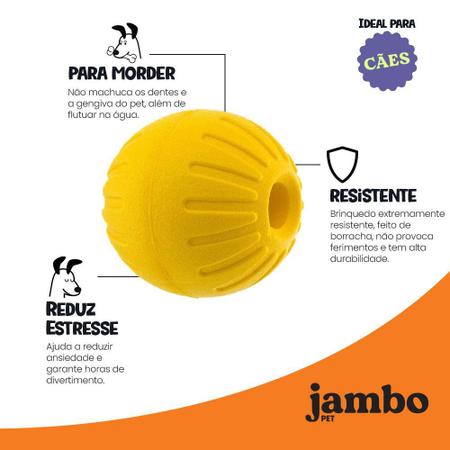 Ipetboom Jogo De Guerra Apanhador Brinquedo Laranja Disco De Treinamento De  Pelúcia Água Macia De Design Basquete De Praia Jogando Para Mastigadores De  Futebol Cachorro E Novidade Ao Ar