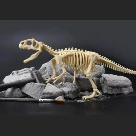 Brinquedo Kit Paleontólogo Arqueologia Dinossauros Fóssil Infantil  Escavação Pliossauro - Ark Toys - Brinquedo de Escavar - Magazine Luiza