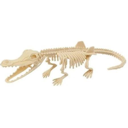Brinquedo Kit Paleontólogo Arqueologia Dinossauros Fóssil Infantil
