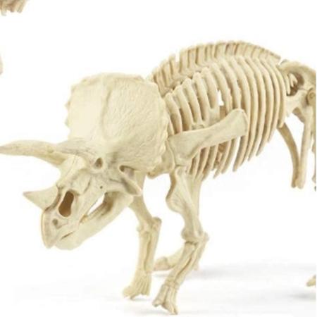 Brinquedo Kit Paleontólogo Arqueologia Dinossauros Fóssil Infantil  Escavação Triceratops - Ark Toys - Brinquedo de Escavar - Magazine Luiza