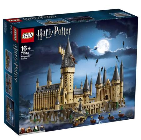 Lego Harry Potter Primeira Aula De Voo 76395 264 Peças - Brinquedos de  Montar e Desmontar - Magazine Luiza