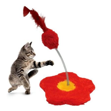 Gato doméstico vermelho brincando com varinha de brinquedo de penas.  atividade de jogo para animal de estimação indoor. suprimentos para gatos