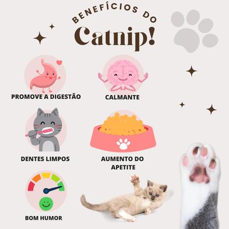 Imagem de Brinquedo Pelúcia com Catnip  Mordedor Pet Com Erva de Gato